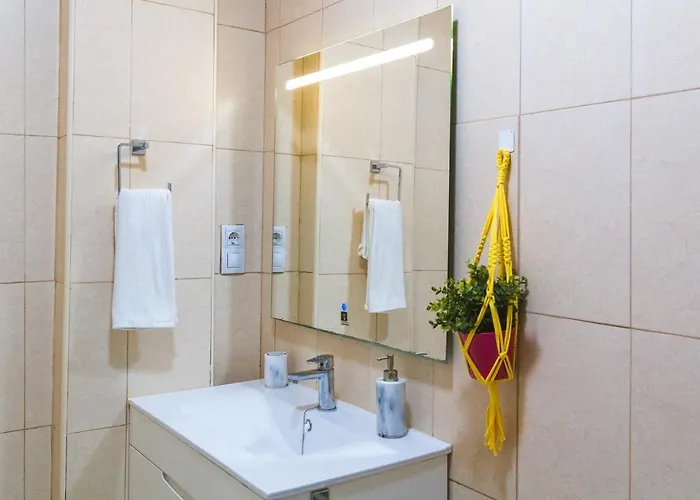 Palmera * 大加那利岛拉斯帕尔马斯