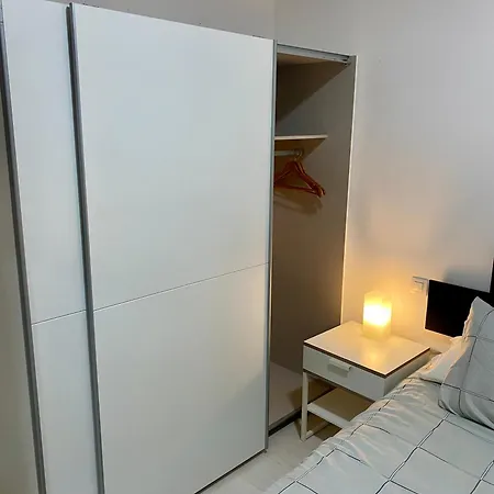 Palmera * Las Palmas