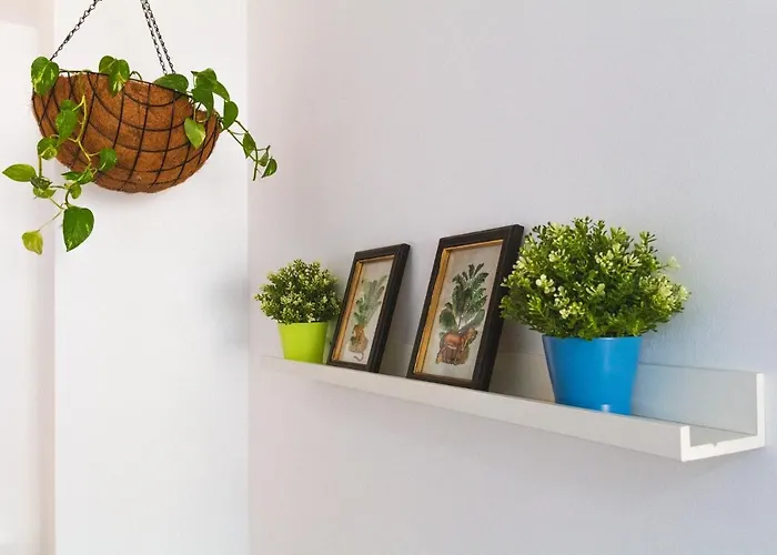 Apartament Palmera *